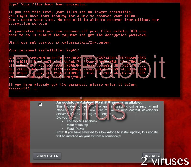 Bad Rabbit ransomware virus 