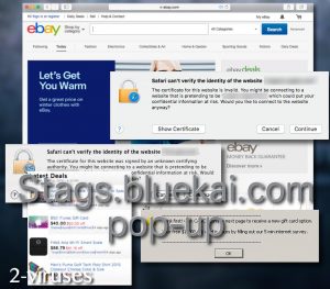 Stags.bluekai.com ポップアップ