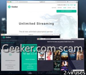 Geeker.com 詐欺
