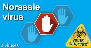 Norassie ウイルス